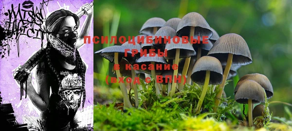 винт Алзамай