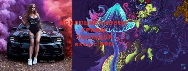 винт Алзамай
