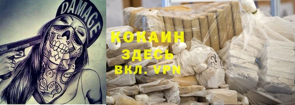 стафф Алексин