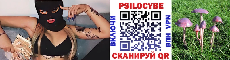 Галлюциногенные грибы Psilocybe  Миасс 