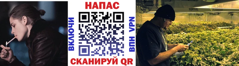 Каннабис планчик Миасс